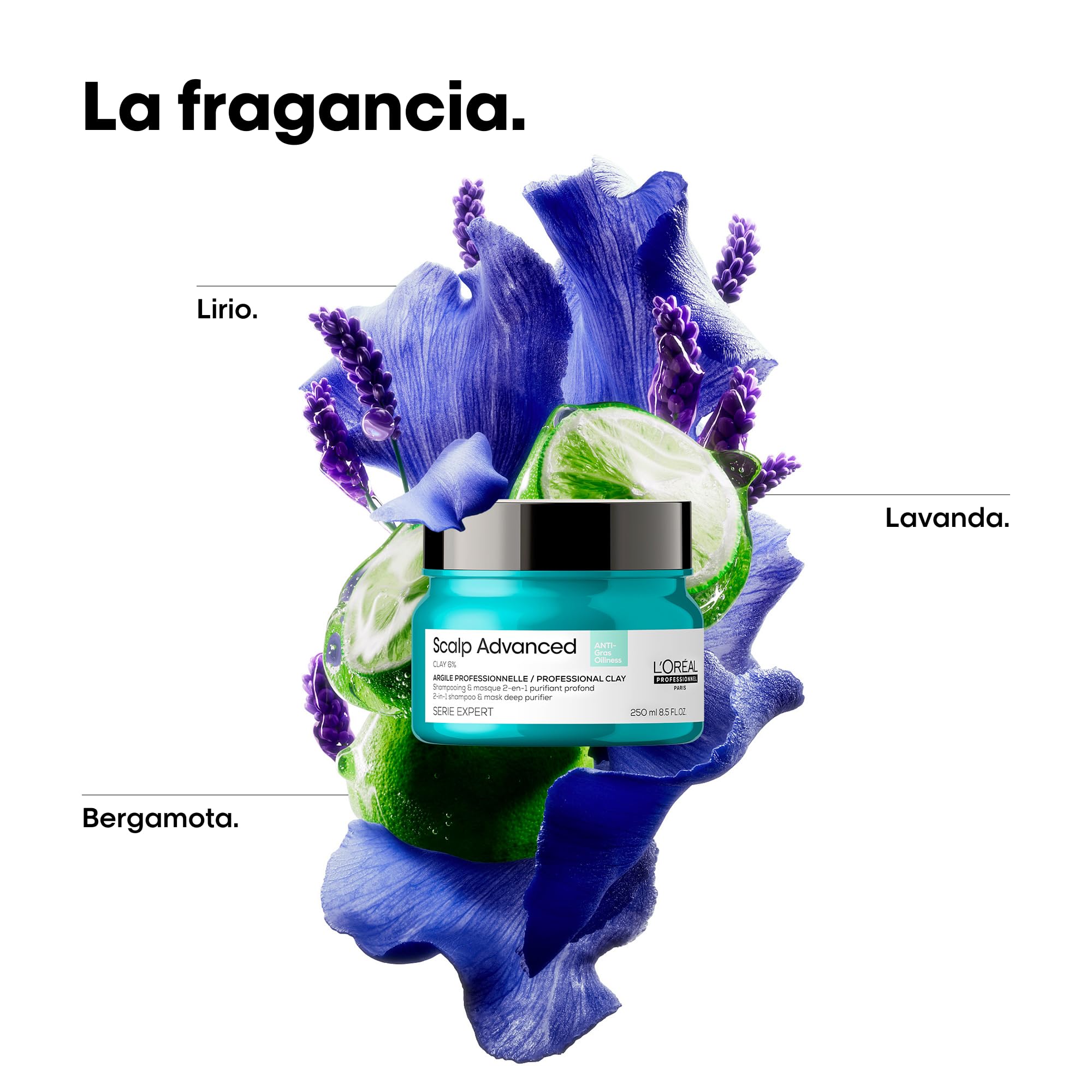 L’Oréal Professionnel, Champú Pelo Graso y Arcilla, con Activos Dermatológicos, Champú Antigrasa, Diseñador para Pelo Graso y Fino, Scalp Advanced, 250 ml