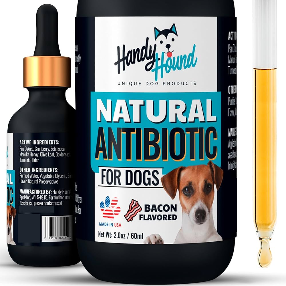 How To Get Dog Antibiotics Without Vet