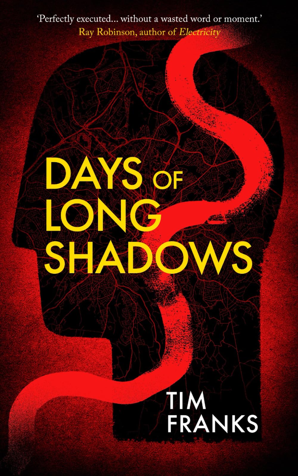 Days of Long Shadows: A unique and unputdownable gritty Northern crime thriller