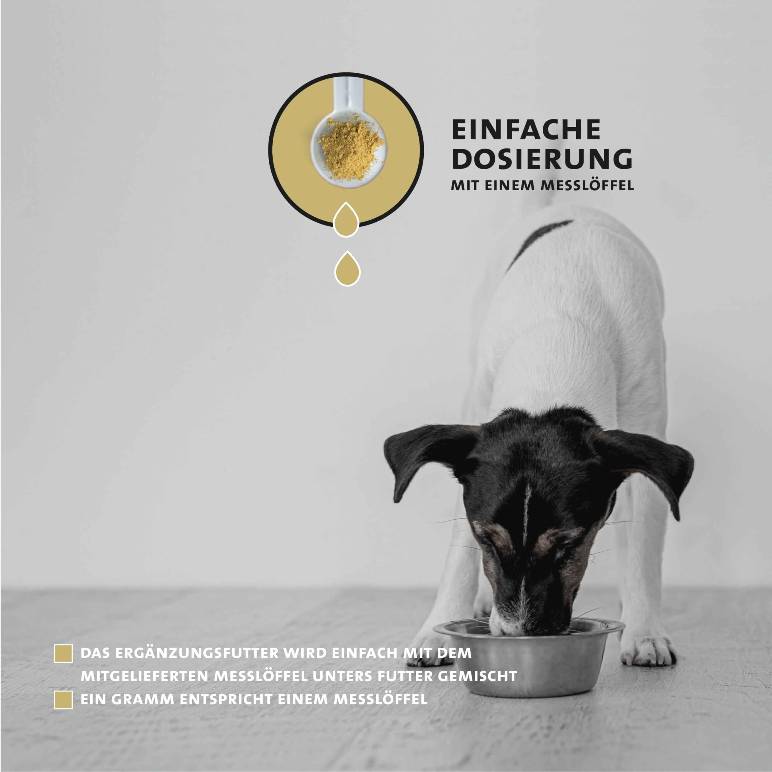 Peticare Polvo Corazón & Circulación para Perros | Favorece la Salud cardíaca y la vitalidad | con Omega-3, L-carnitina y espino Blanco | Suplemento Natural | petDog Health 2612