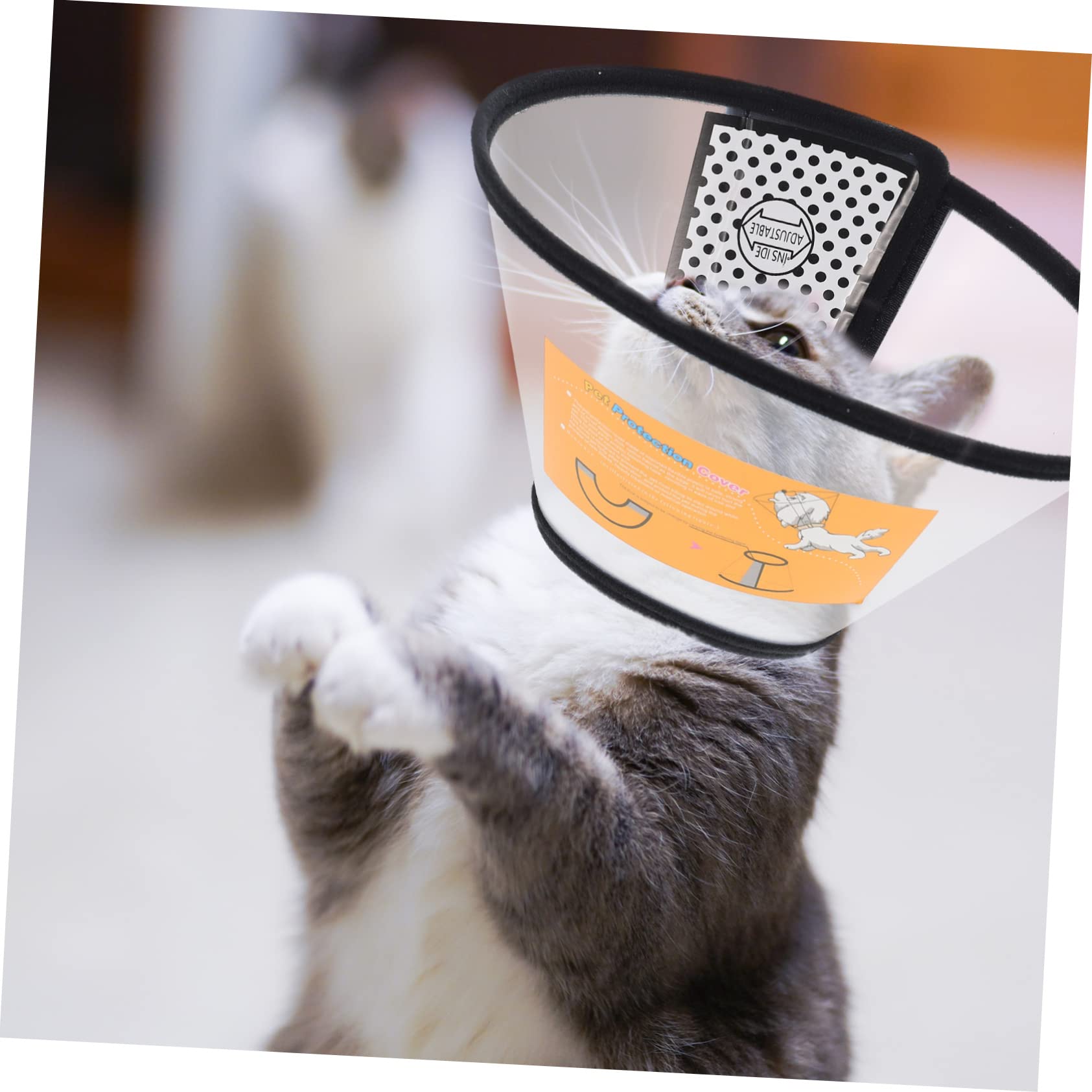 BESPORTBLE 6pezzi Collare Elisabettiano Per Cani e Gatti Da Collare Di Comfortevole Morbido Adatto Per Circonferenze Per Periodo