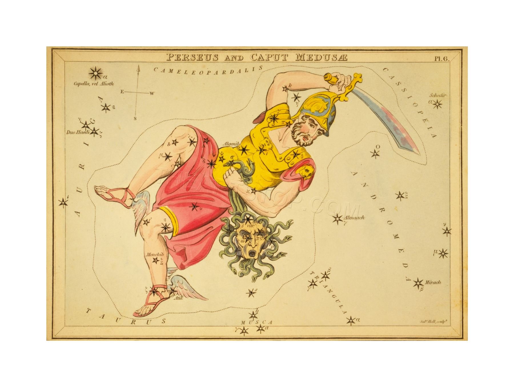 Wee Blue Coo Painting Drawing Star Map Perseus Medusa Constellation Wall Art Print