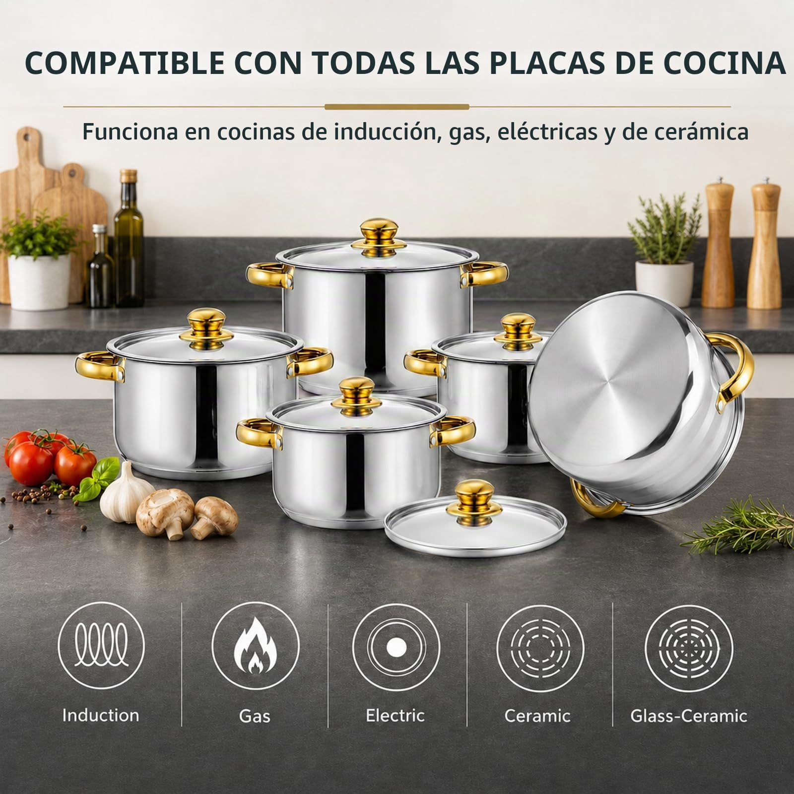 Set de Ollas Acero Inoxidable 10 Piezas, Tapas Acero, Todo Tipo Cocinas