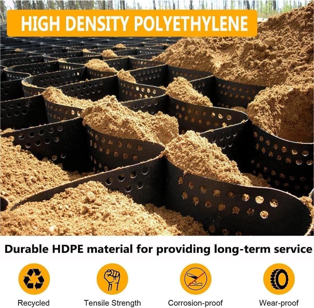 B4レア 希少縁起物 大型親木ヤドリギ ‼️綺麗な実たくさん