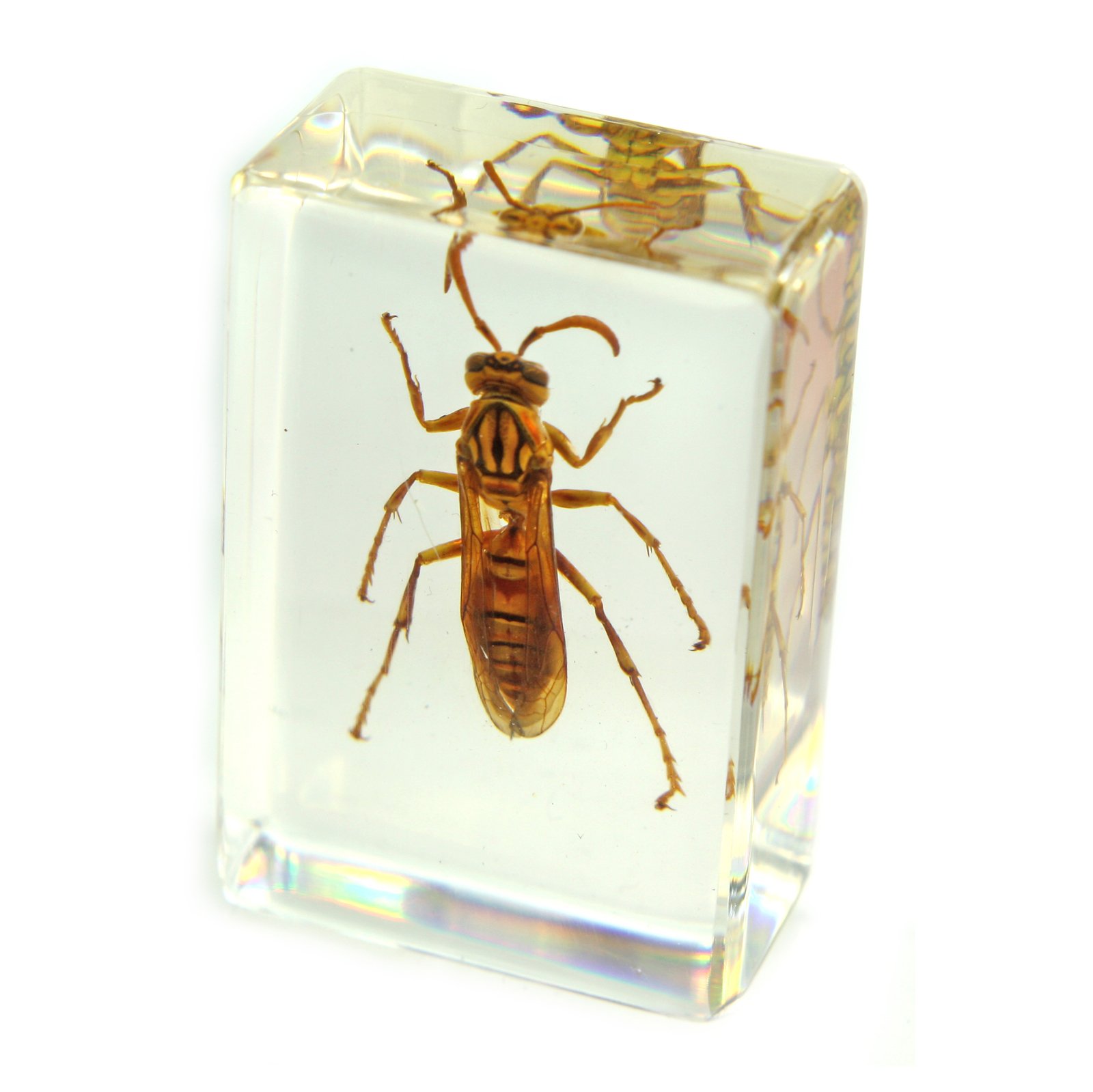 REALBUG Wasp Paperweight (1.8x1.1x0.8)