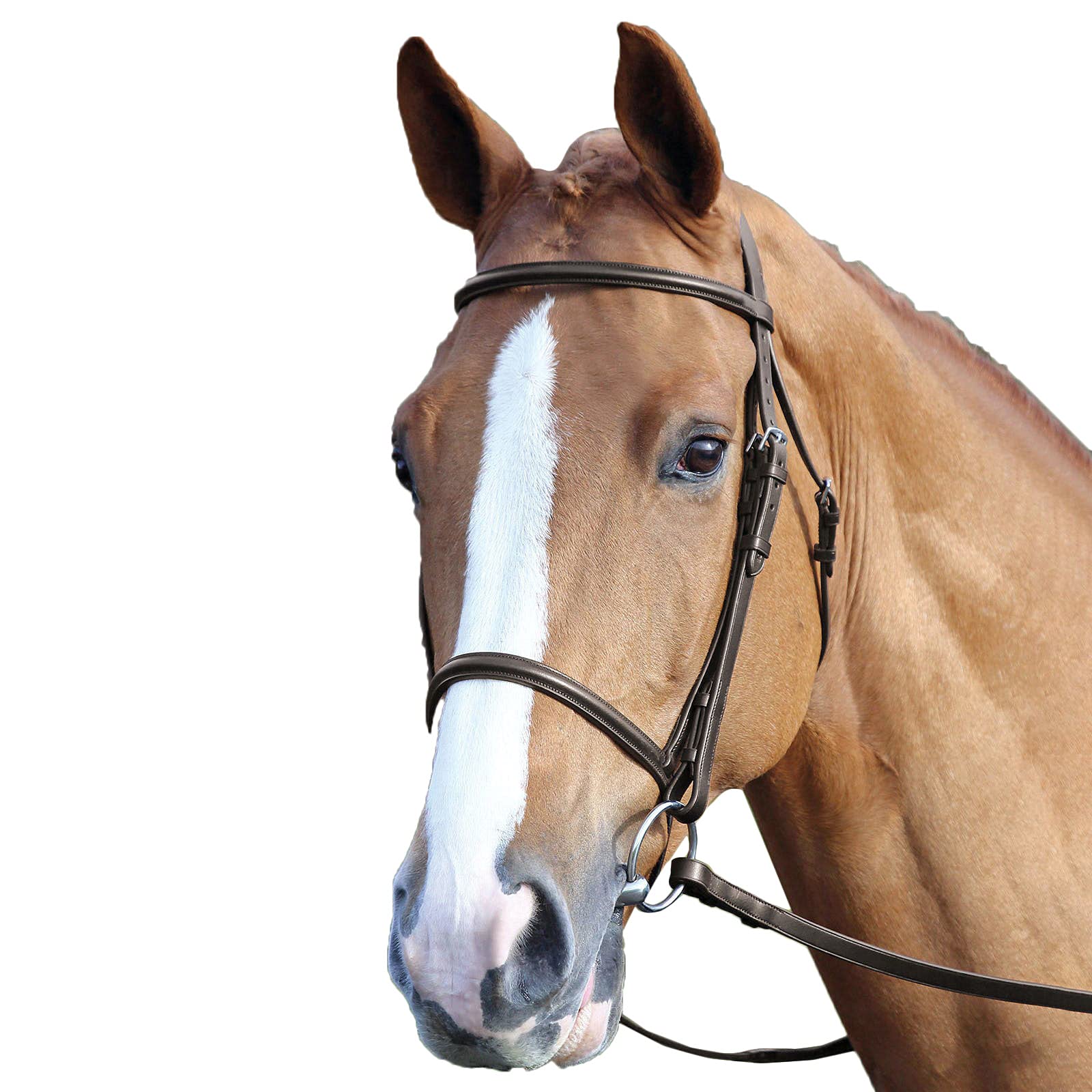 Shires AVIEMORE Billets Hanno-Gancio per briglie, a Bottone, con utensileria in Acciaio Inox