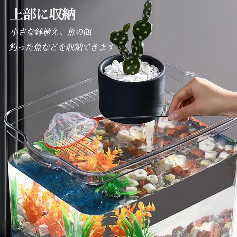 Amazon | Kziazoi金魚鉢 水槽 おしゃれ 金魚 水槽 おしゃれ 金魚水槽