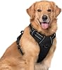 rabbitgoo Dog Harness Large Dog No Pull Pet Harness with 2 Leash Clips, Adjustable Soft Padded Pet Vest Harness, Reflective No-Choke with Easy Control Handle for Training or Walking, Black, XL