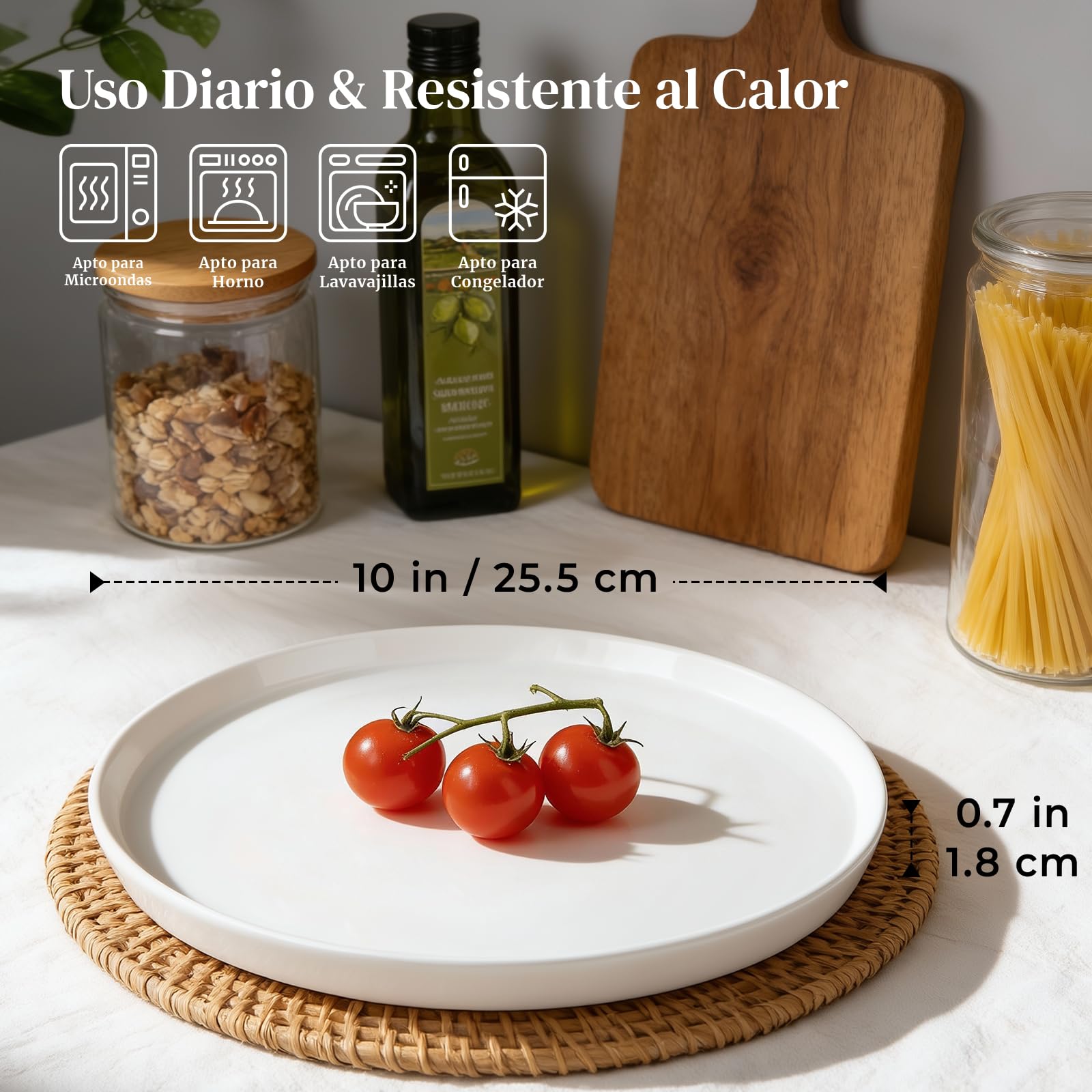 DOWAN Juego de 6 platos llanos de cerámica de 10 pulgadas para ensalada, pasta y bistec