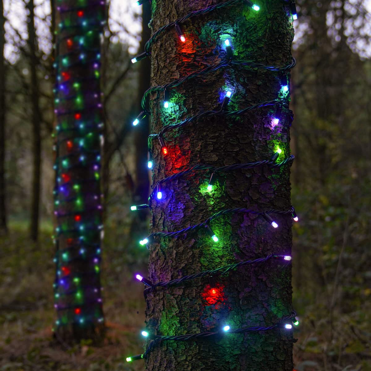 Festive Lights - ConnectPro Outdoor LED String Fairy Lights - Connectable - IP65 Rubber Black Cable | Wedding, Christmas, Garden, Commercial, Party (Colour Changing w/Plug, 20m)