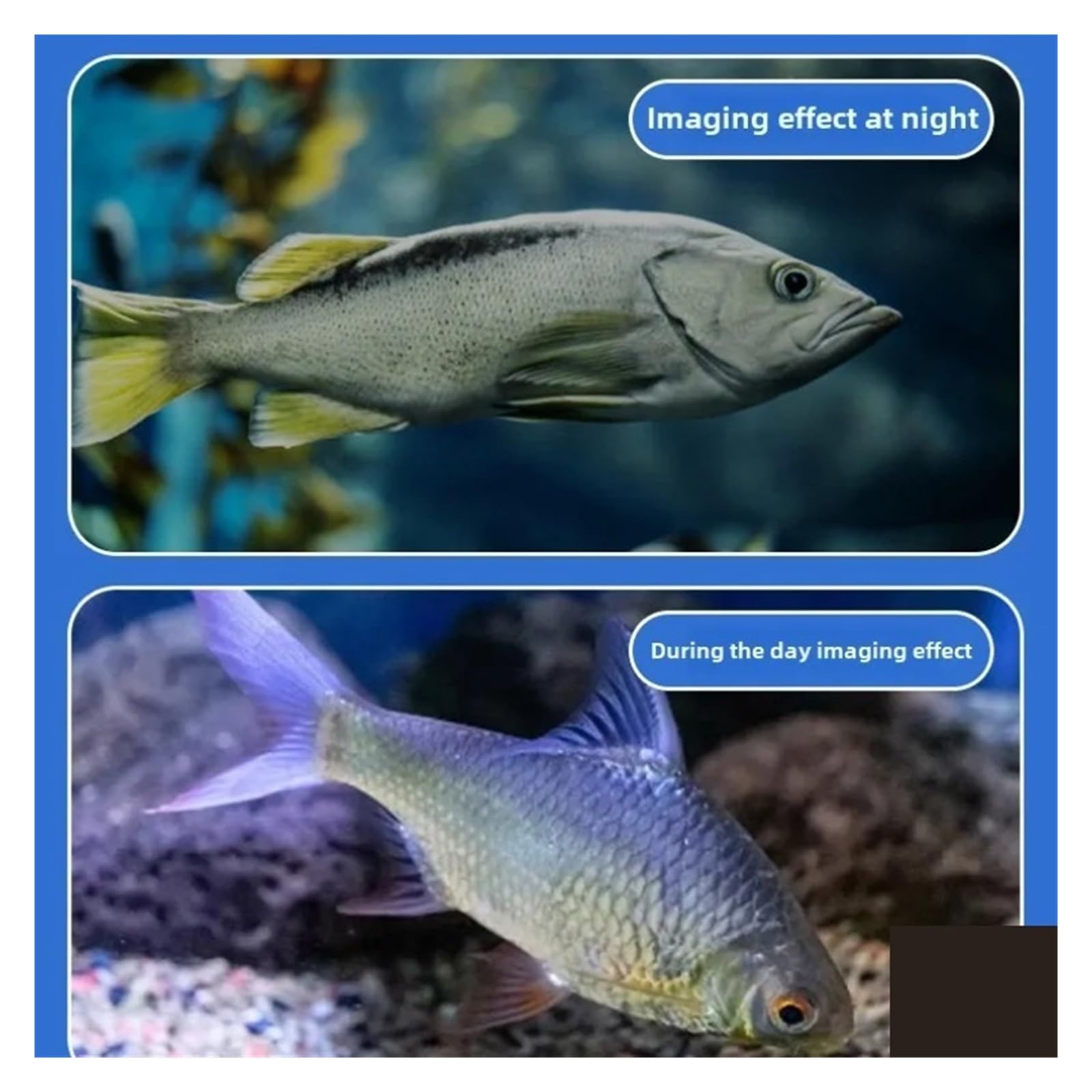 4,3-calowa kamera HD z wizualną lokalizatorem ryb, wyświetlacz wędkarski, podwodna do lodu na świeżym powietrzu,Wysoka Rozdzielczość