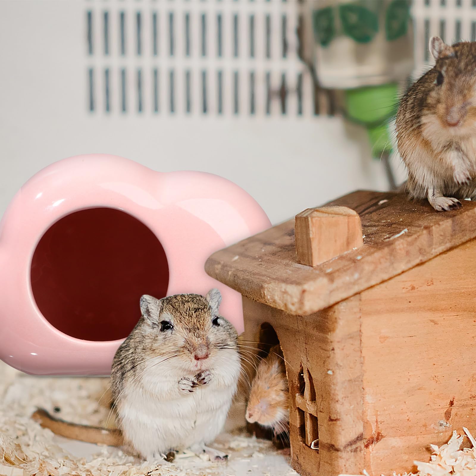 Keramik Hamster Häuschen in Wolkenform 2 Stück Leicht zu Reinigen und Kühlend Hamster Futter Versteck und Meerschweinchen im Sommer