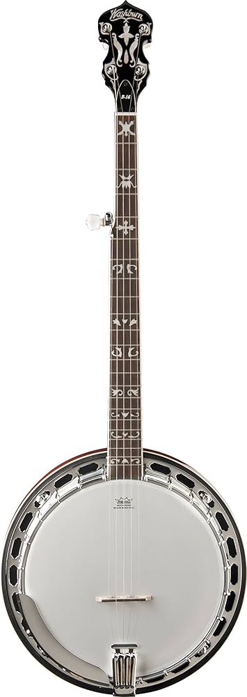 Amazon.com: Washburn Americana Series B16K-D 5 String Banjo