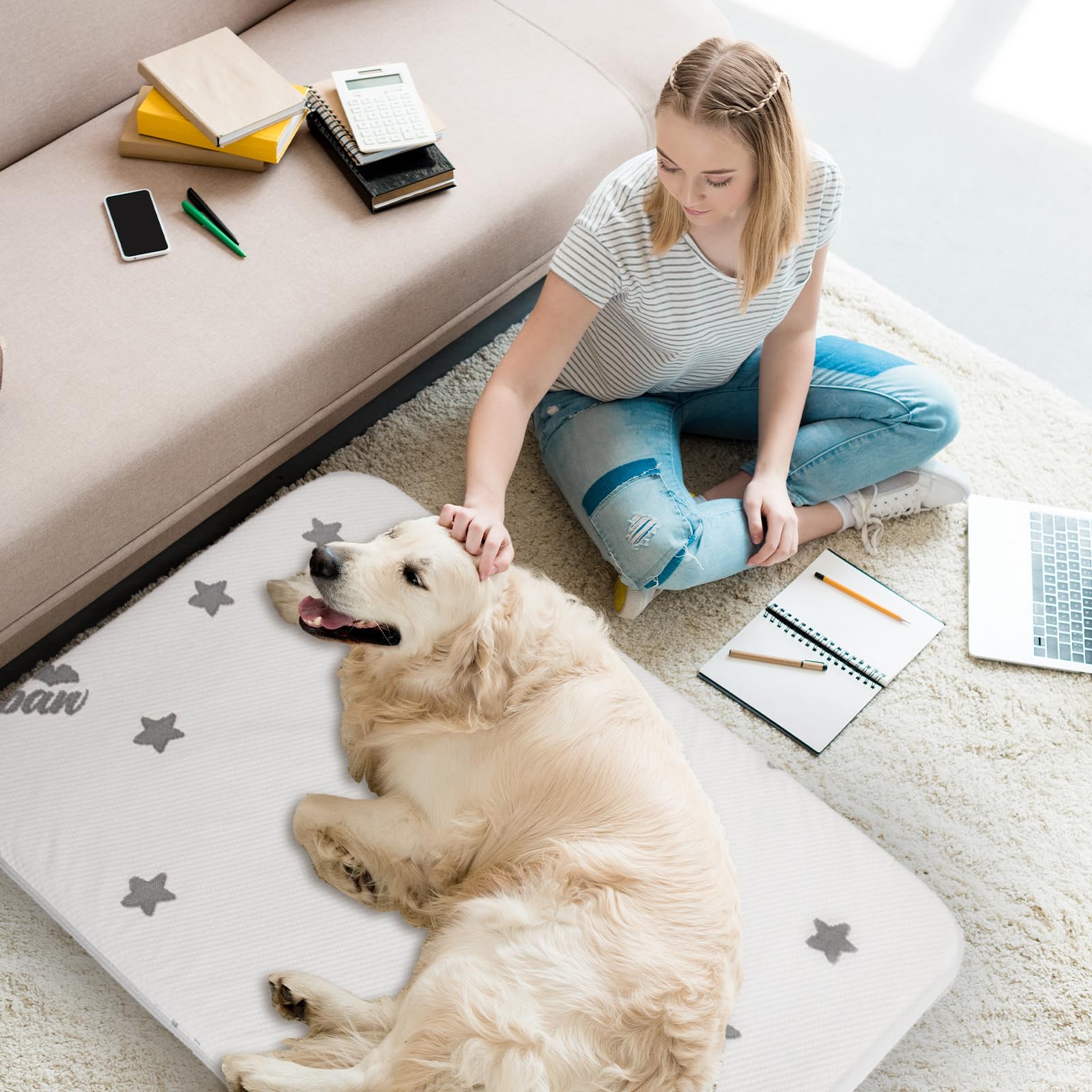 Amazon | Biloban (ビロバン) 犬用防水犬用ベッド 洗濯可能マット