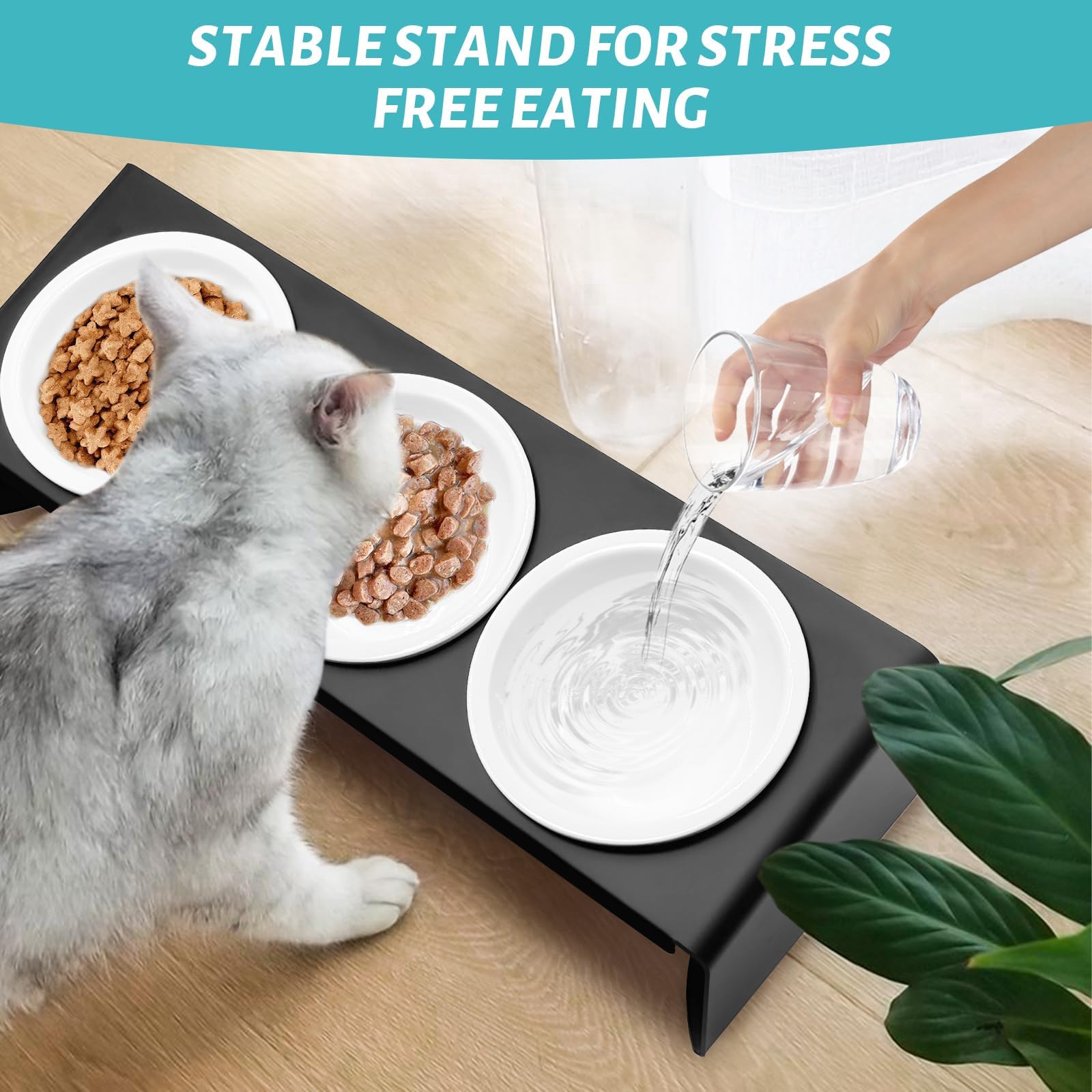 Comedero de cerámica for Gatos con Soporte metálico Inclinado a 15°. Juego alimentación y Agua for Perros, Color Negro