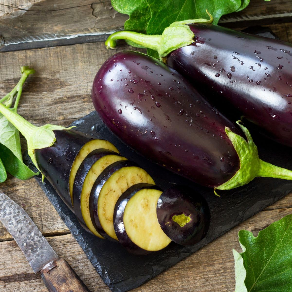 Aubergine Grafted Veg Plants 'Scorpio' Solanum Melongena Egg Plant Half-Hardy Annual Easy to Grow Your Own Garden Vegetables Supplied as x1 9cm Potted Plant by Thompson and Morgan (1) - Image 4