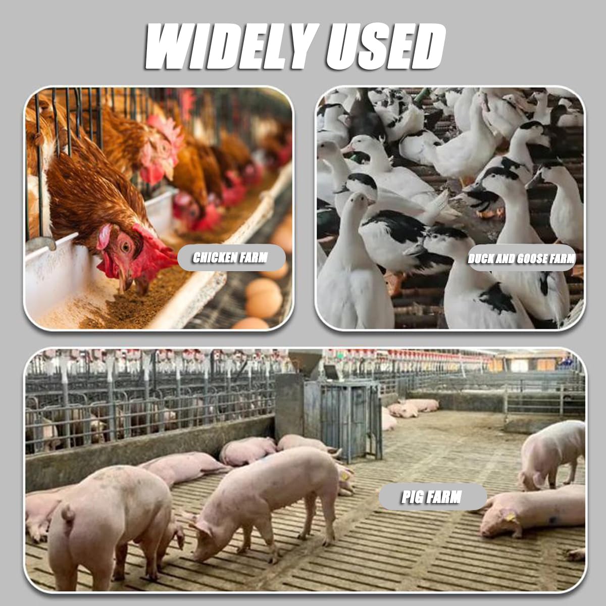 Procesador de alimentos comercial, picador de verduras multifuncional de 3500 rpm, acero inoxidable, puerto de alimentación grande, rallador profesional para alimentación de animales