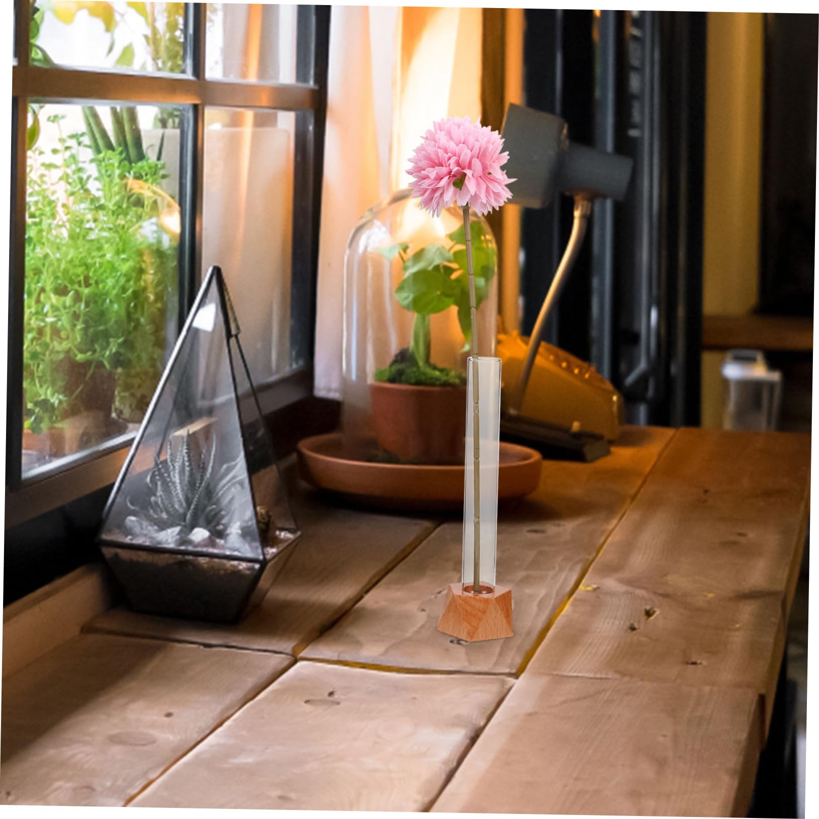 PRETYZOOM 9 Pièces Vase en Verre Hydroponique Vase pour Station De Propagation des Plantes