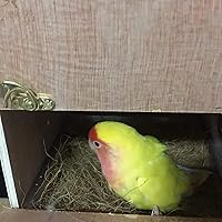 Vista 8 de Fibra de coco, 4.5 oz. Ropa de cama cómoda para pájaros y animales pequeños, material nido para construcción de nidos, escondites, plantas