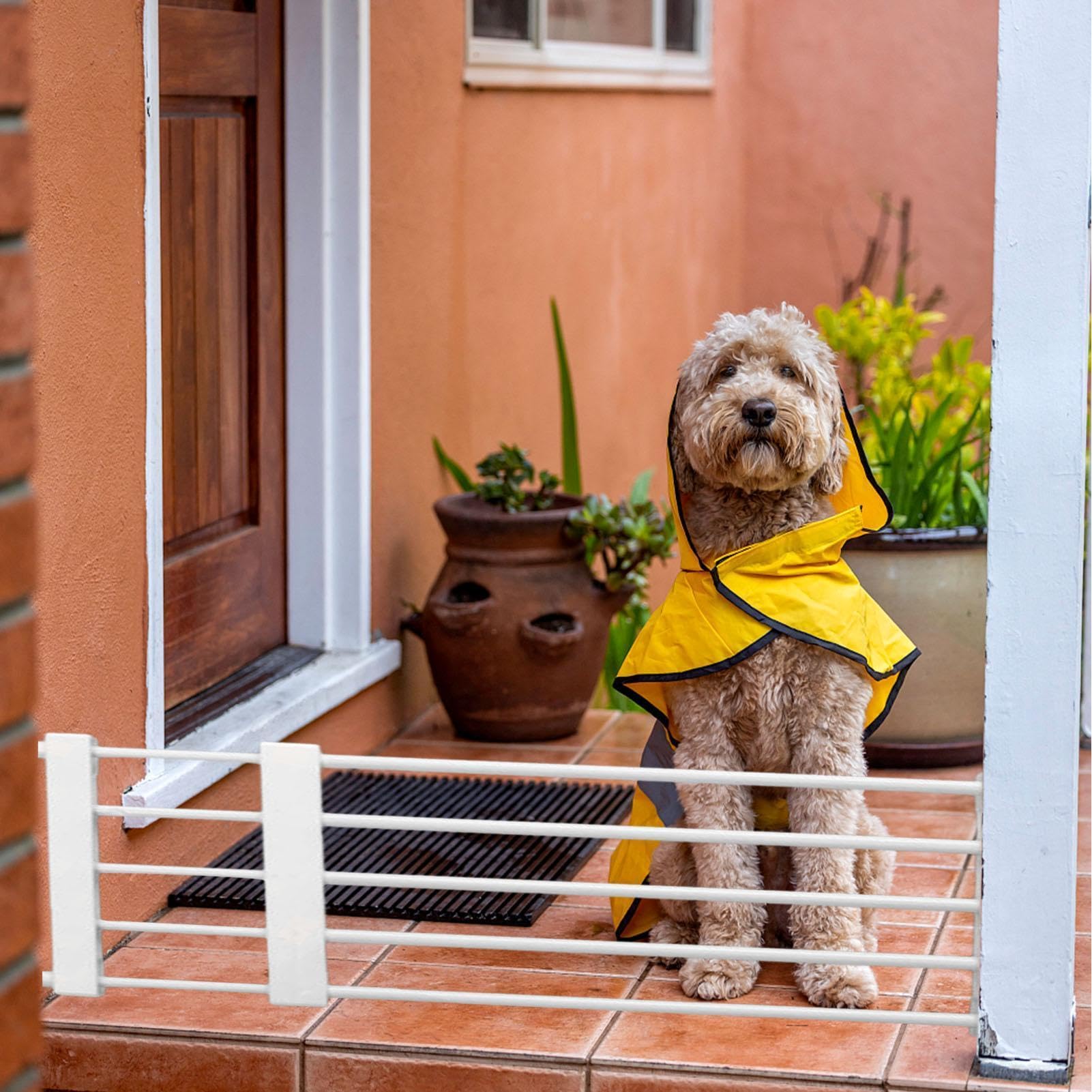 Puerta de escalera - Puerta de metal Walk Thru Gate | & Gaate | Puerta duradera para perros | Cachorro Gaate | Puerta de seguridad para bebés y mascotas, puertas, escaleras y seguridad en e