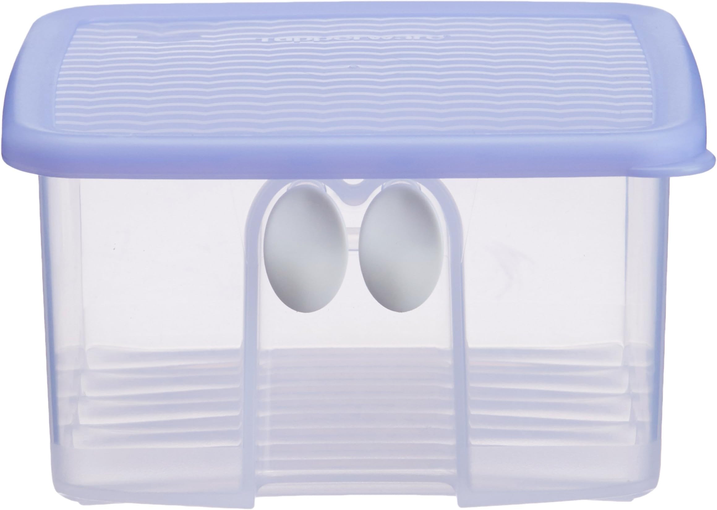 Tupperware Fridge Smart Small Box, 1 Litre (163, Multicolor, Plastic)
