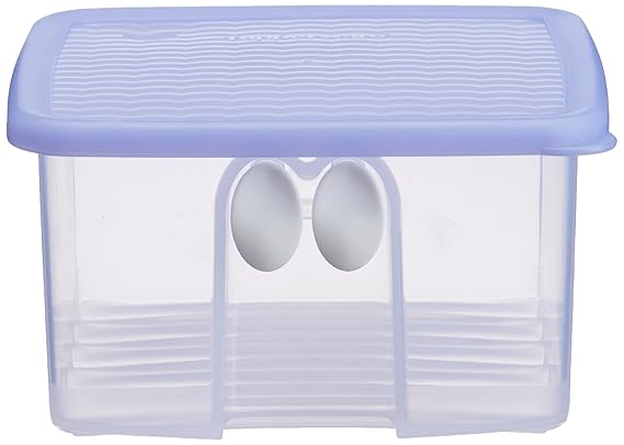 Tupperware Fridge Smart Small Box, 1 Litre (163),Multicolor