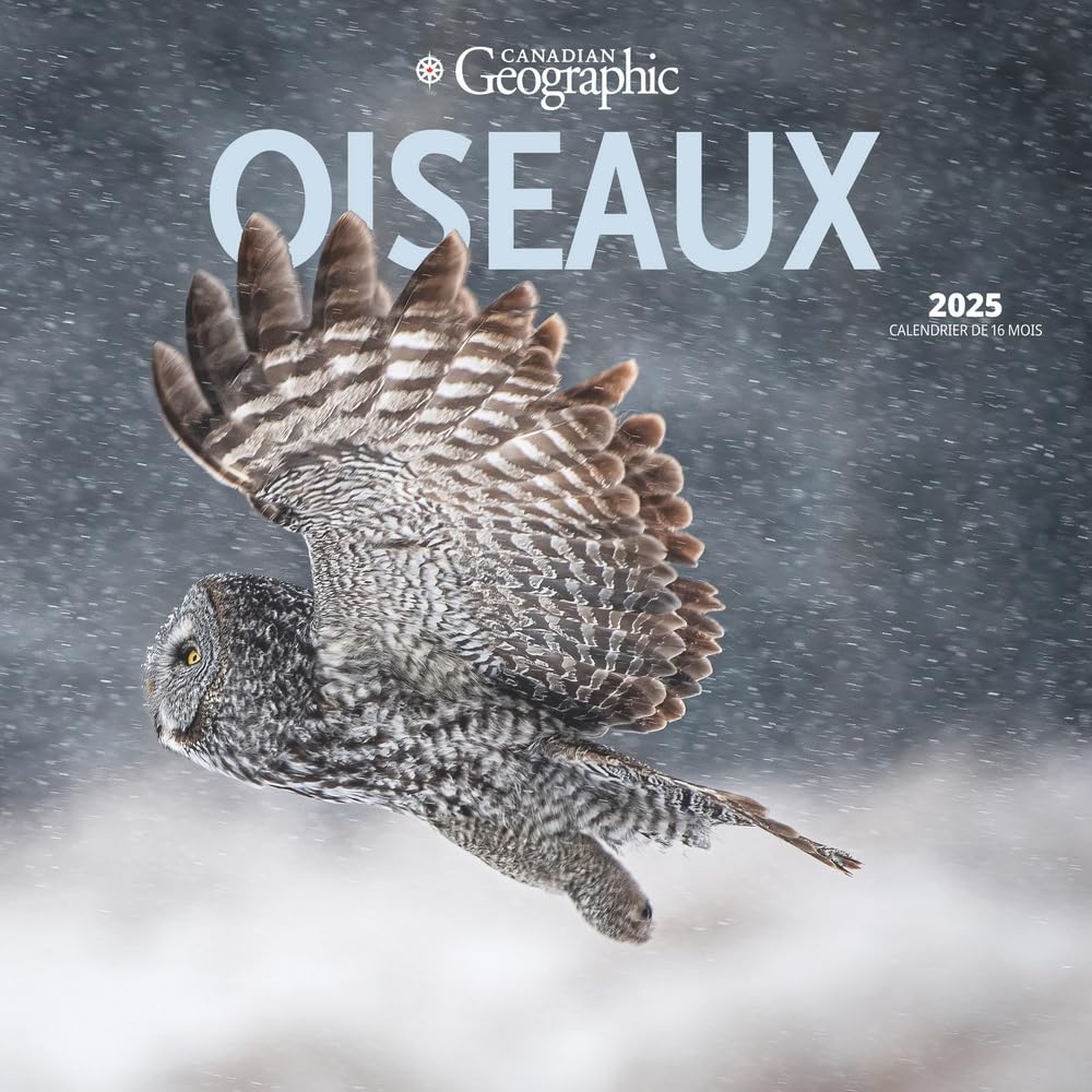 Canadian Geographic Oiseaux OFFICIEL | Calendrier mural carré mensuel de 30,5 x 61 cm 2025 | Langue française | Sans plastique | Wyman Publishing | Animaux de la faune oiseaux