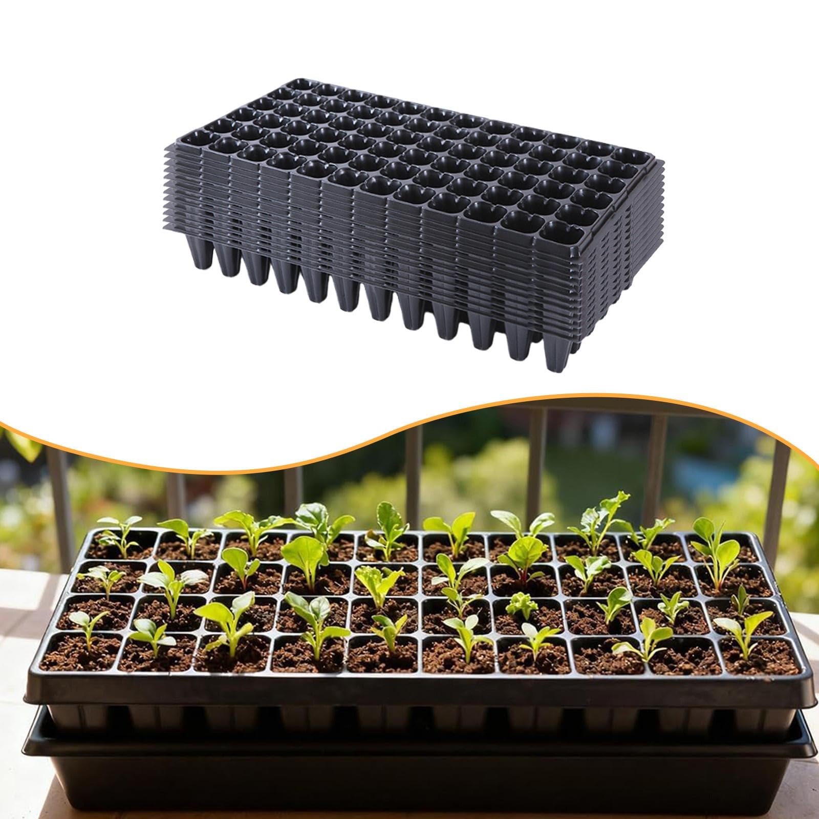 F Fityle 12 bandejas para plántulas de con Orificio de Drenaje, Multiusos, para Cultivo de microvegetales, Frutas de Granja y Interior, 72 Celdas