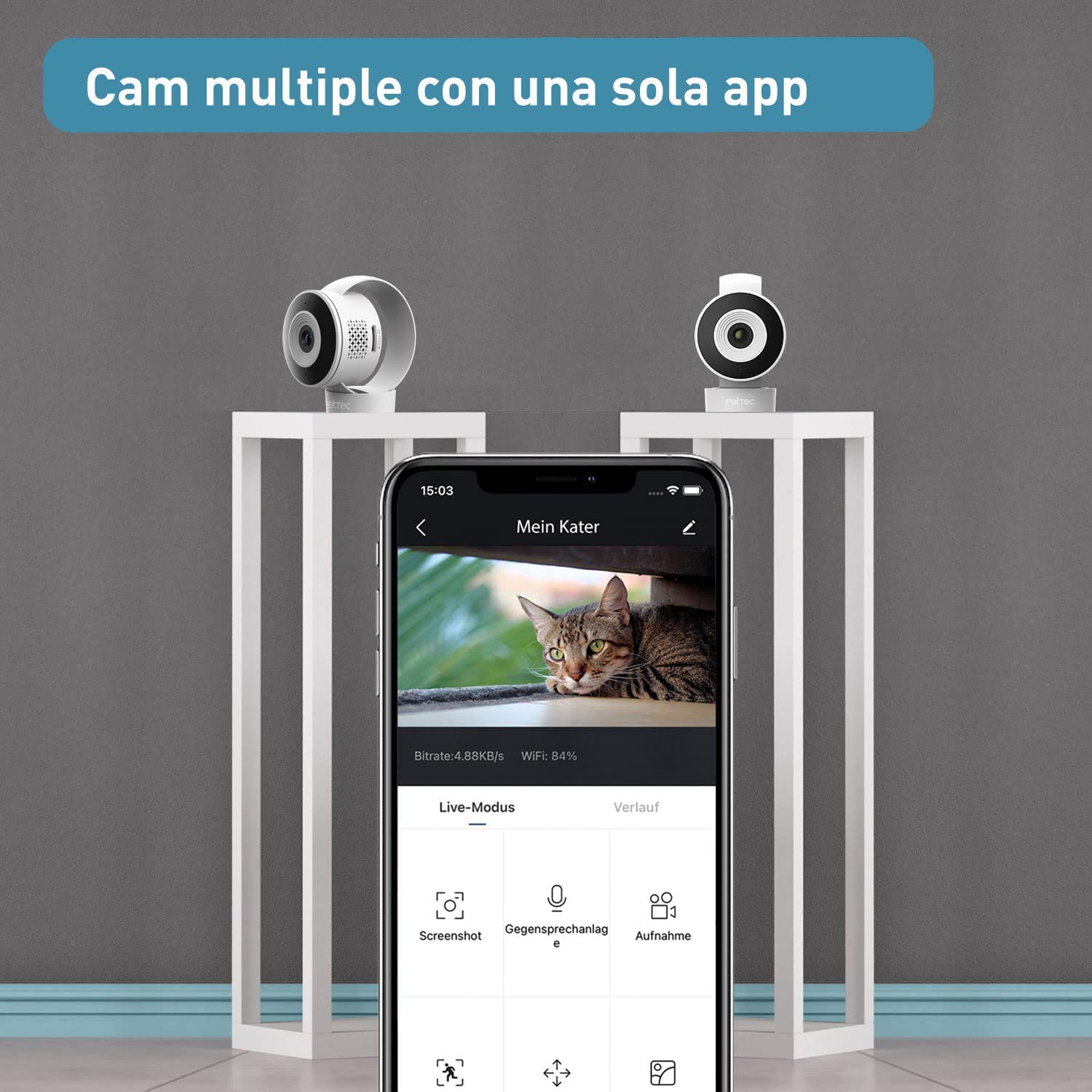 PetTec® Cam Lite - Telecamera per animali domestici Telecamera per cani con app [SENZA ABBONAMENTO] - Telecamera per gatti e cani a casa con rilevamento del movimento e funzione di visione notturna