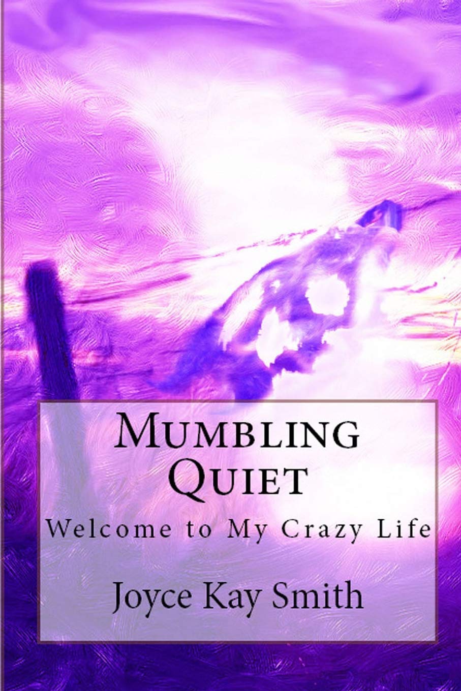Mumbling Quiet: Welcome to My Crazy Life