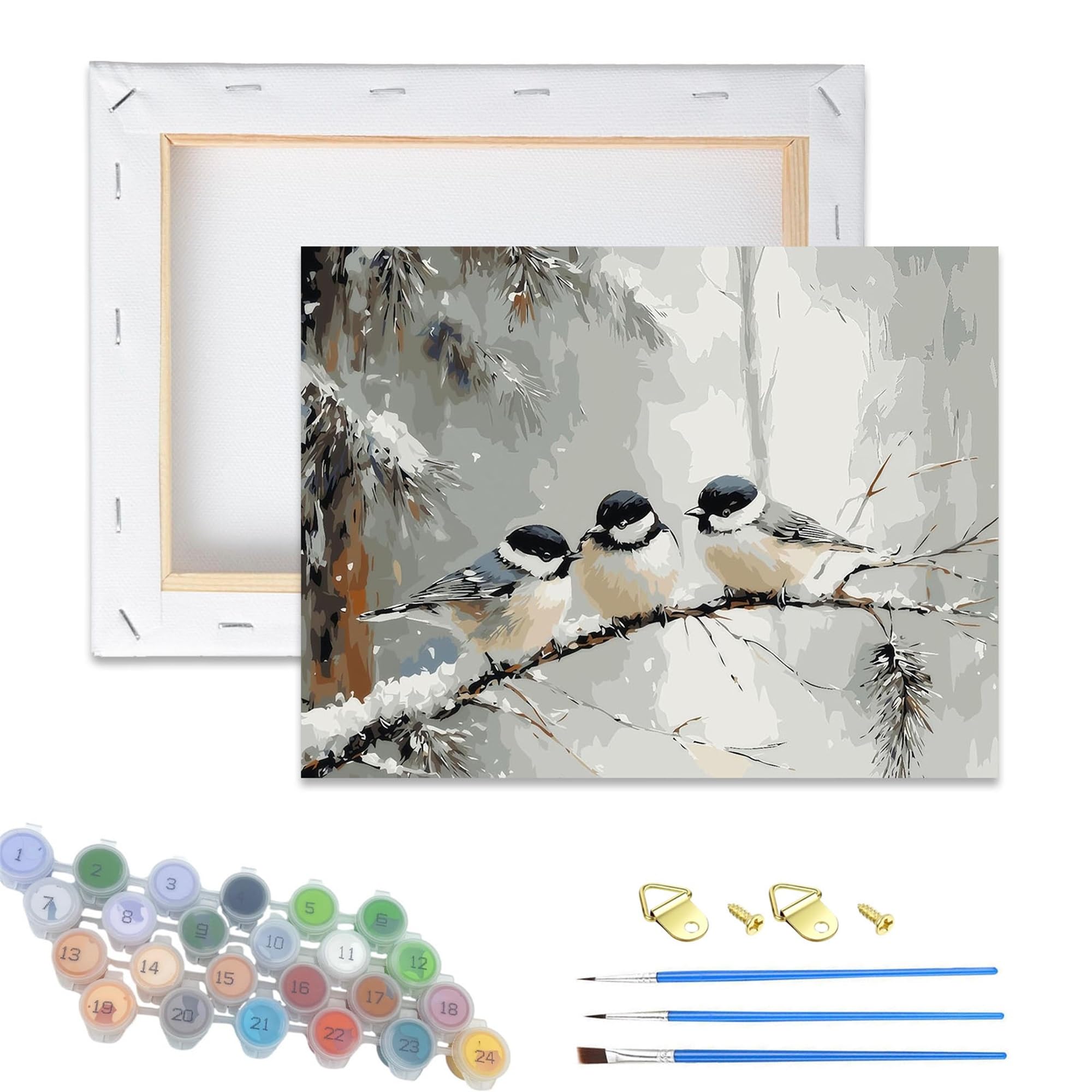 Dsfefv Bird Wooden Framed Paint By Numbers Kits For Adults,Diy Painting Kit On Canvas, Color By Numbers Acrylic,Adult Paint By Number For Wall Decor And Gifts (Bird)