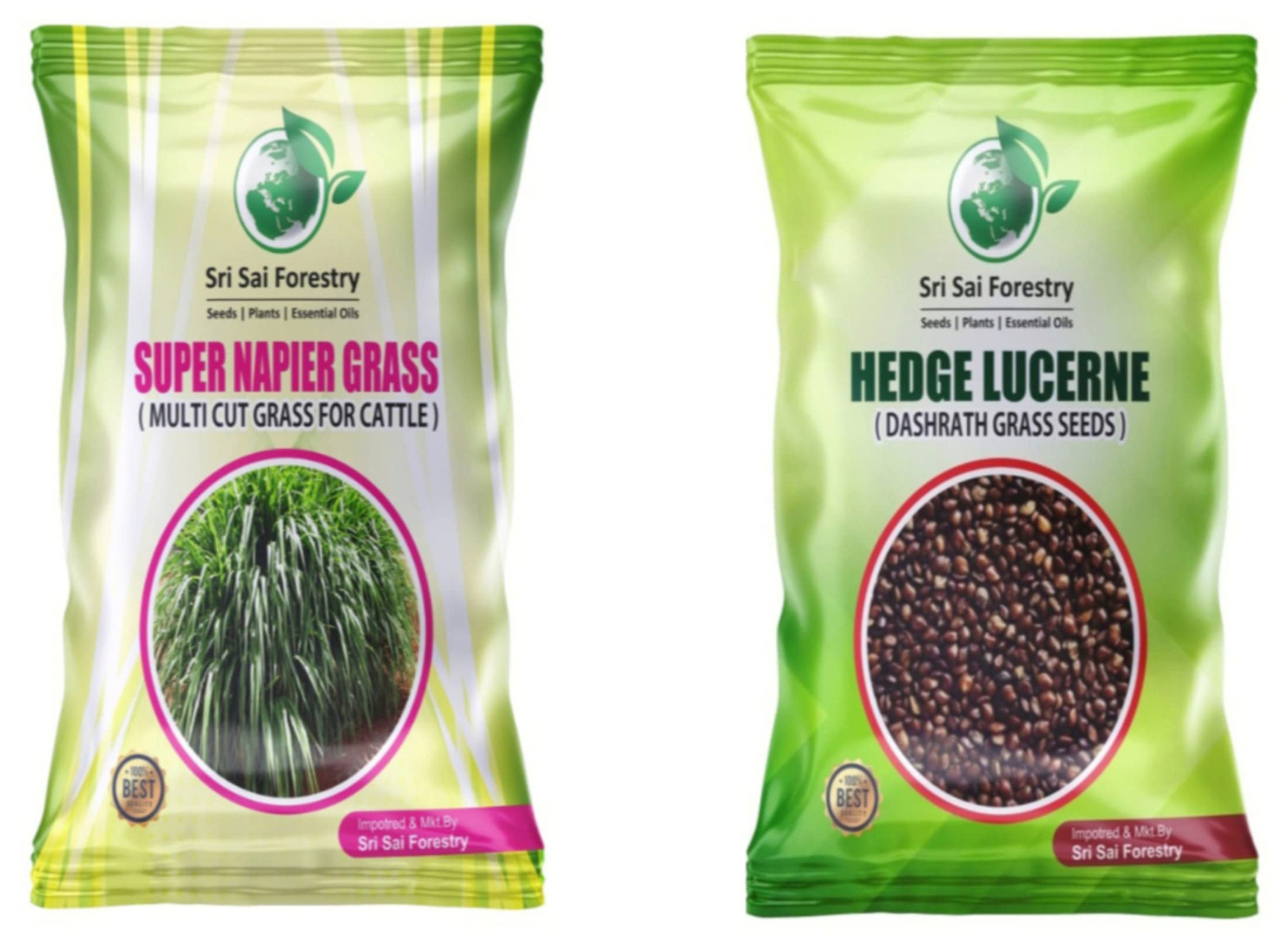 SRI SAI FORESTRY Super Napier Grass Seeds | Hedge Lucerne Grass Seeds | Combo Pack - 200g | Animal Fodder High Yield Multi Cut Grass Seed (B0B7SLGKJR) Amazon Price History, Amazon Price Tracker