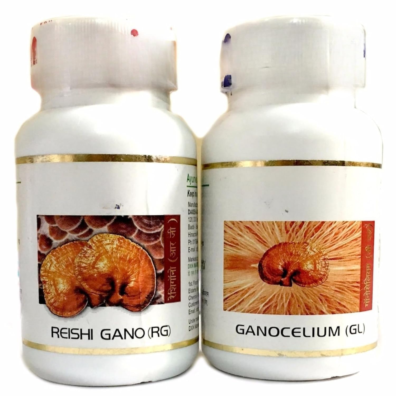 Reishi RG & Ganoderma GL Mushroom Capsules | Fruiting Body Reishi with Ganoderma Mycelium | Dual Mushroom Herbal Nutrition Supplement | 180 Capsules Total-image-7