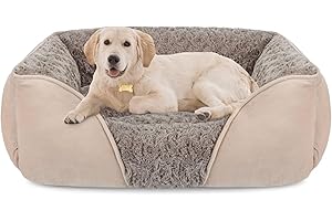 Casper Dog Bed Medium: Comfort for Your Furry Friend
