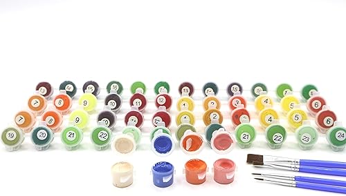 Miniatura 8 de GVS-ART Pintura personalizada por números con marco para adultos, lienzo enmarcado y estirado, pintura acrílica personalizada, lienzo personalizado,