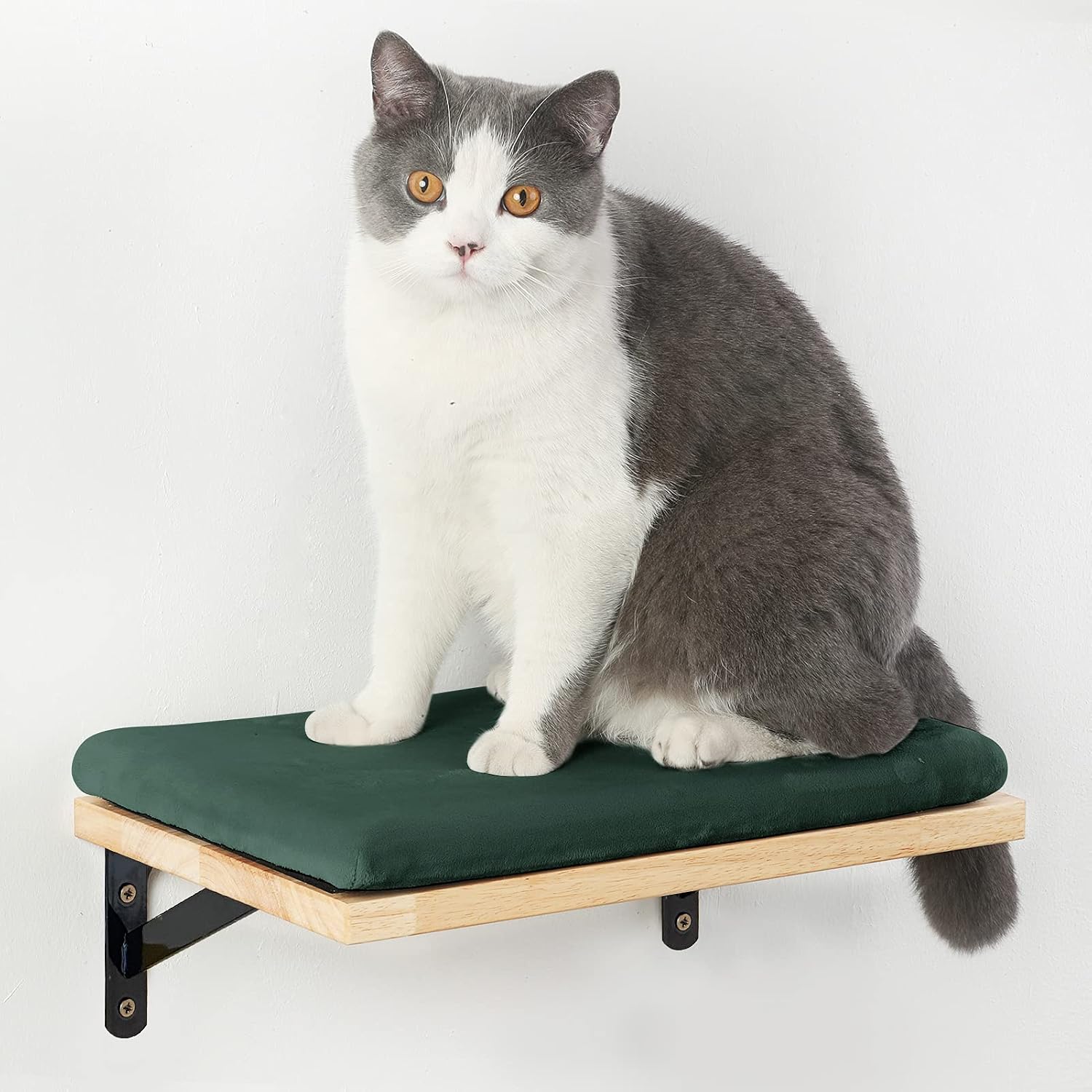 FUKUMARU Floating Wall Shelf with Cat Memory Foam Pad, 0.79 Inch Thick Solid Rubber Wood Hanging Shelves, 15.7 x 10 Inch