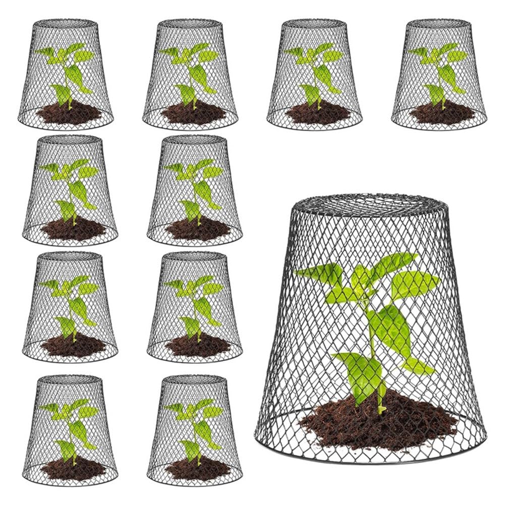 Lot de 2 cloches de jardin en maille métallique avec revêtement en PVC antirouille pour plantes, légumes, fleurs