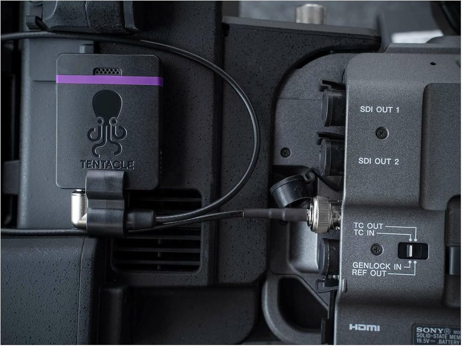 Tentacle Sync E MKII timecode generator attached to a professional video camera, connected via a cable to the TC IN/OUT port.