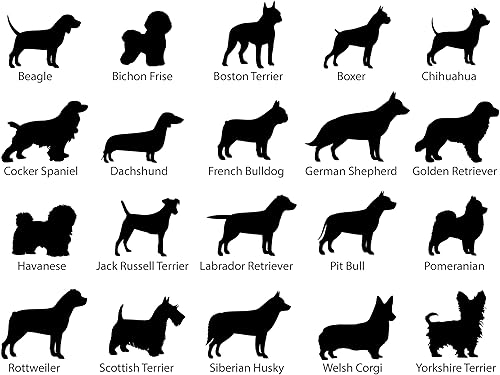 Miniatura 2 de Vaso aislado de acero inoxidable grabado con láser personalizado de raza de perro  Regalo para amantes de los perros  Regalos personalizados para