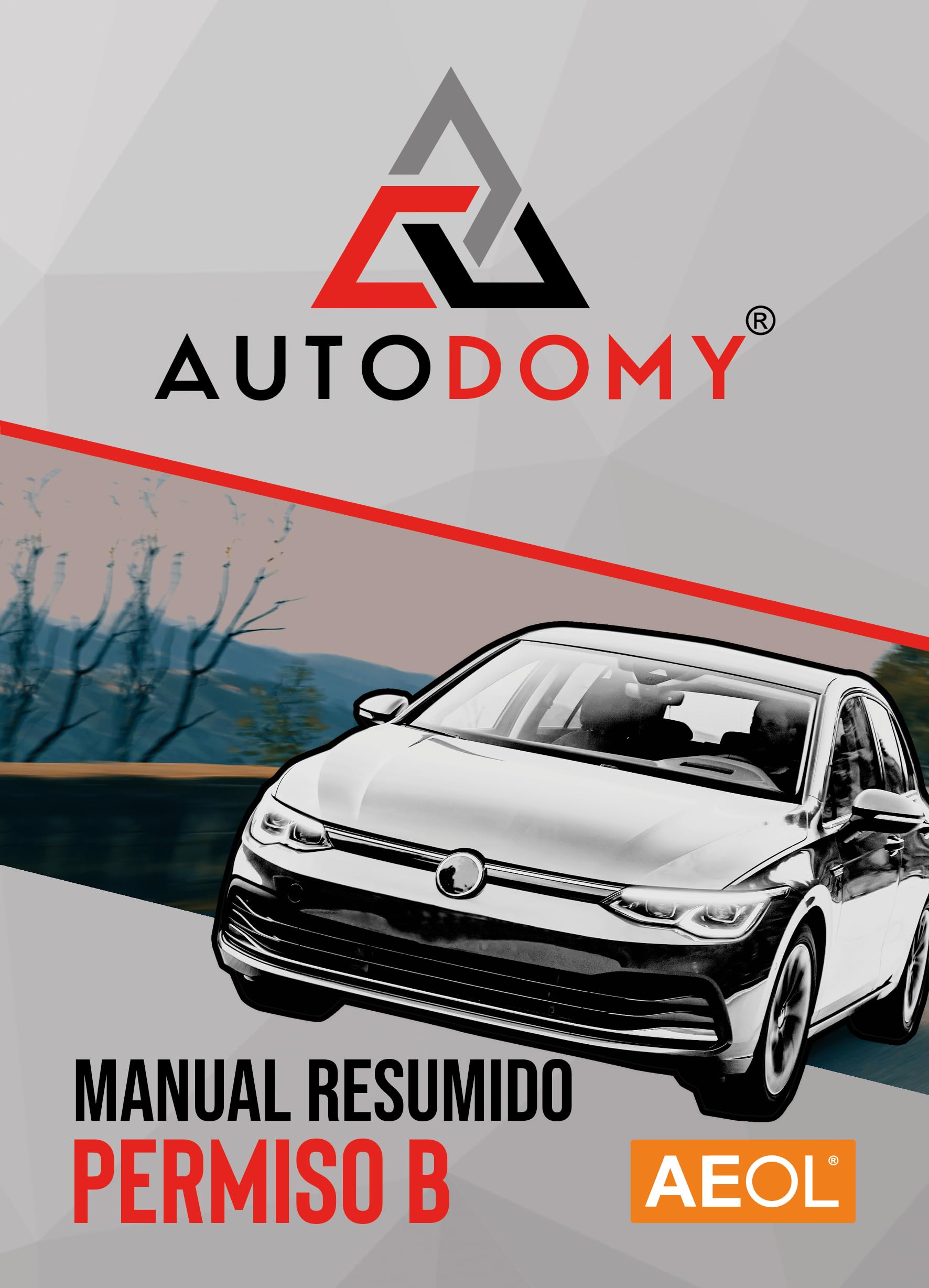 Manual Permiso de Conducir B AEOL 2026 Temario Resumido Teórica Común