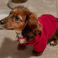 Vista 2 de Jecikelon - Sudadera con capucha y bolsillos, cálida para invierno, para perros pequeños, ropa de abrigo para chihuahuas, disfraz para cachorros
