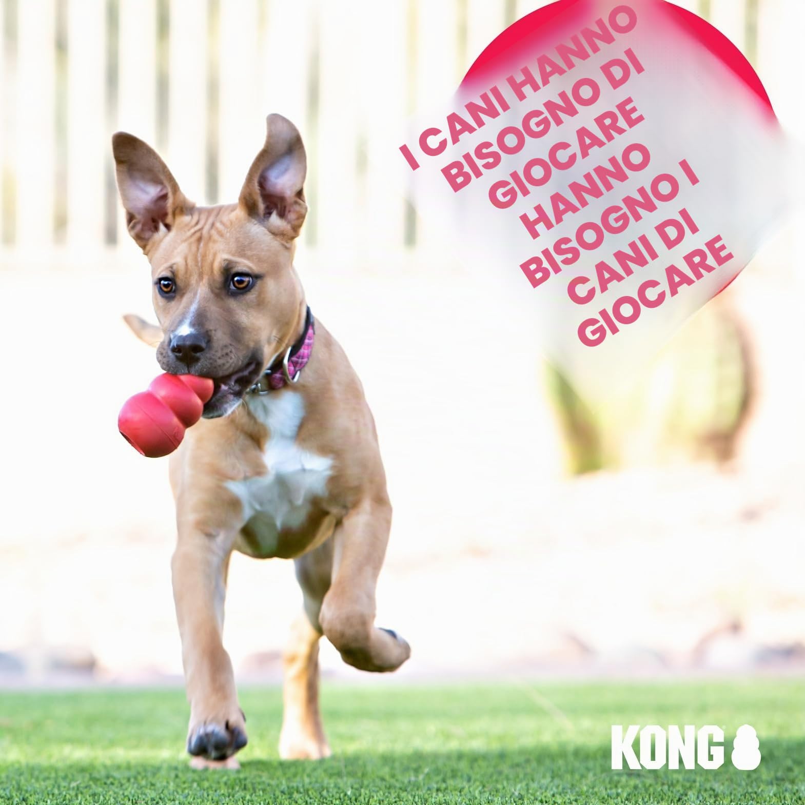 KONG Extreme Goodie Ribbon - Giocattolo Per Cani In Gomma Naturale Riempito - Per Cani Di Taglia Grande
