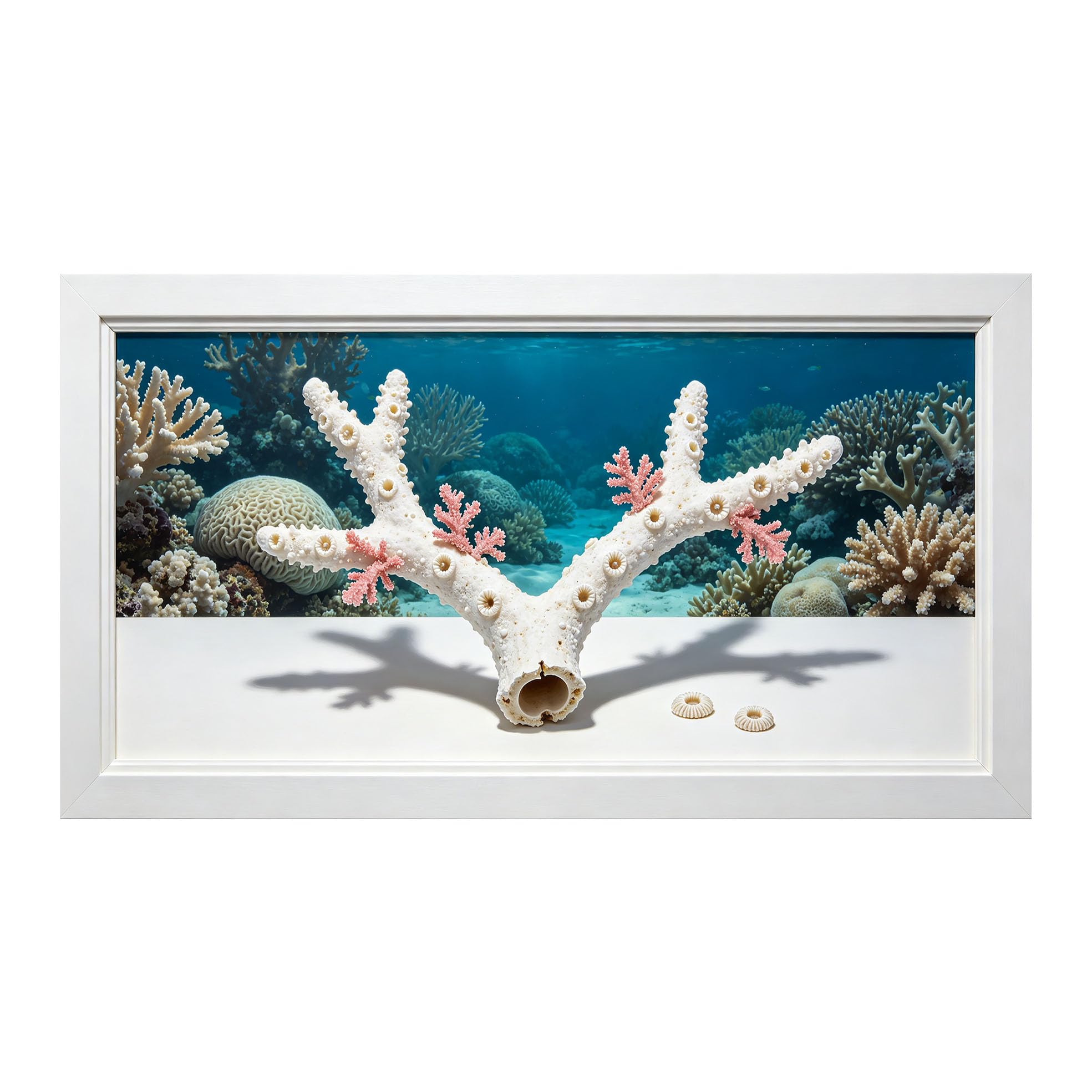 Yzpallescene 3D Framed Wall Art 50cm×100cm Coastal Marine Coral Reef Underwater Seascape Large Size SelfAdhesive Removable Wall Decor Prints Artwork for Living Room Bedroom Office