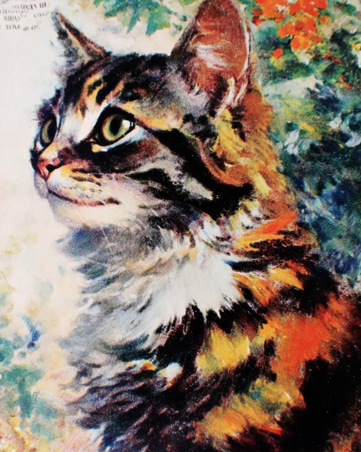 LIUBAISHI Paint by Numbers for Adults, DIY Acrylic Painting Kit, Tabby Cat, 40x50 cm Canvas