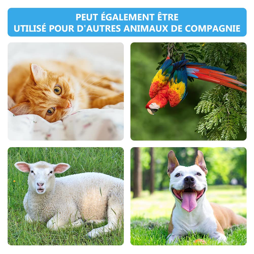 Clickers pour Chien,Clicker Training,Clicker Professionnel pour Doigt avec Bracelet Spirale,Entraînement Dressage pour Chiens Chats,Dressage pour Chien d'entraînement,Training Bouton Cliqueur,2PCS