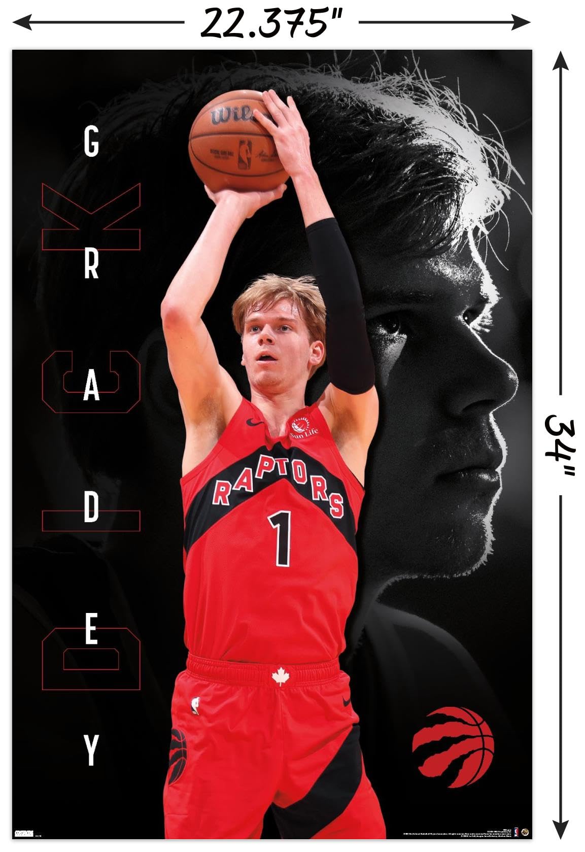 Amazon.co.jp: Trends International NBA トロントラプターズ