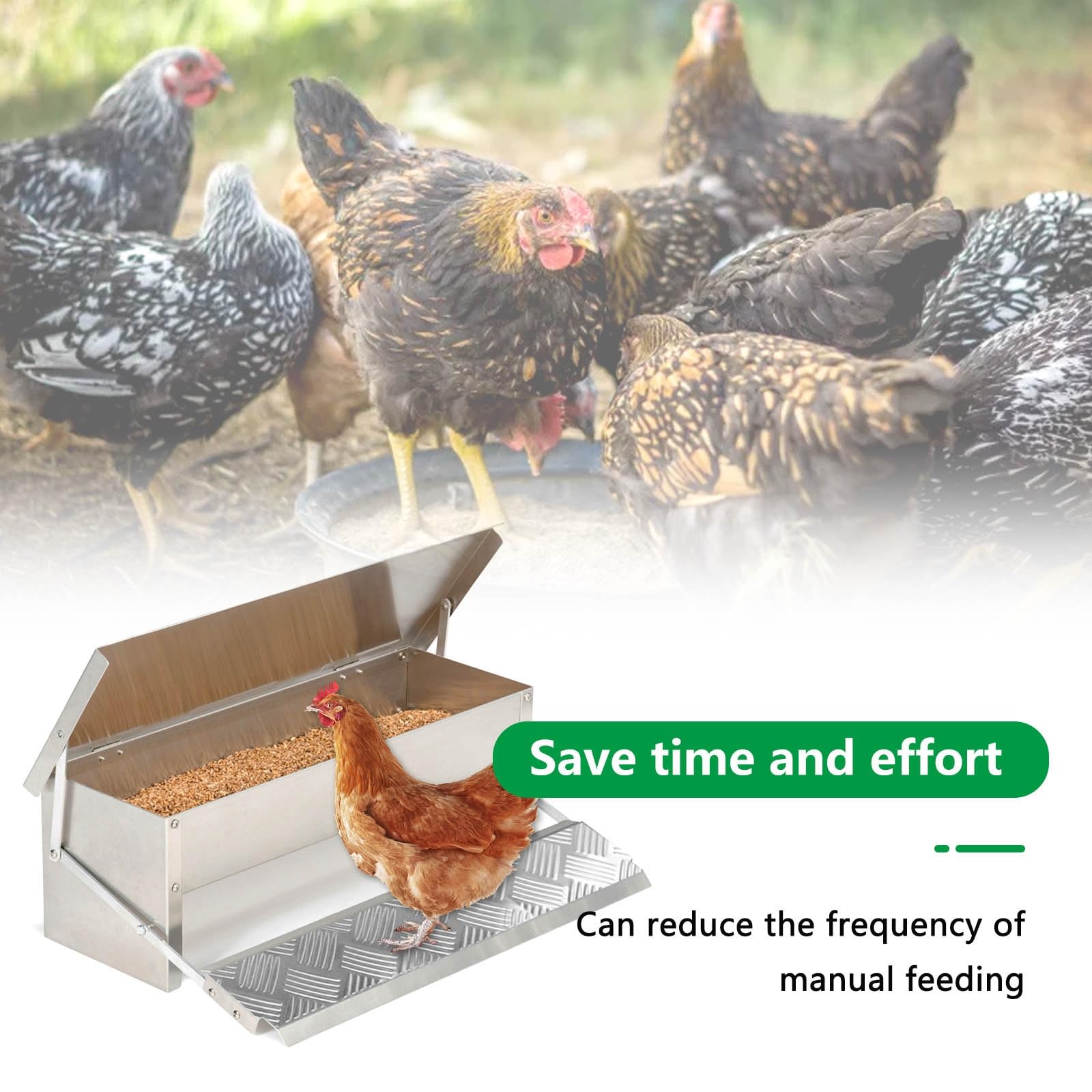 Comedero AutomáTico para Gallinas Comedero con Pedal AutomáTico Interruptor de Gravedad Comedero Gallinas Antipajaros FáCil de Limpiar Comederos AutomáTicos de Pollos con Tapa