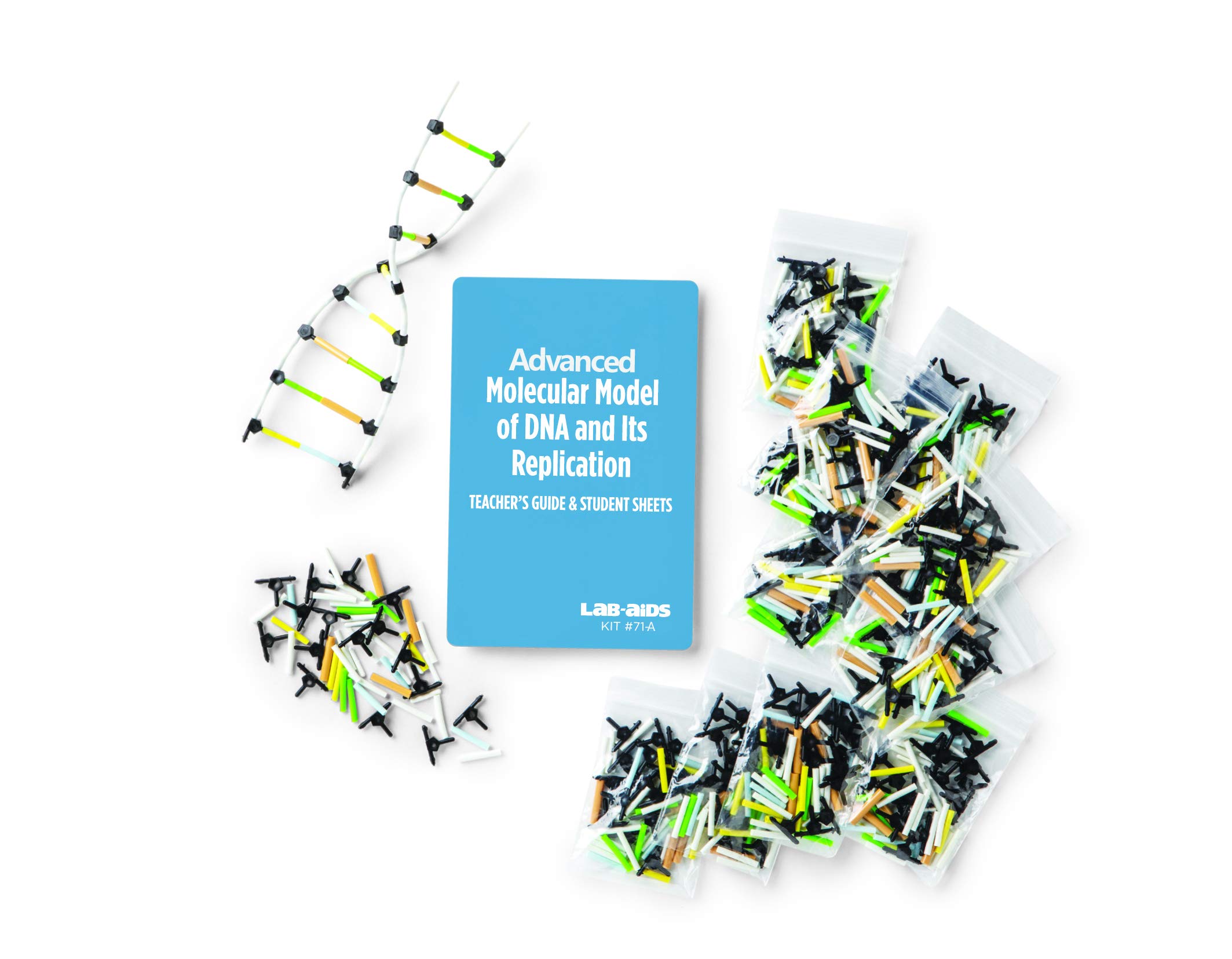 Buy LabAids Advanced Molecular Model of and its Replication Kit 71A