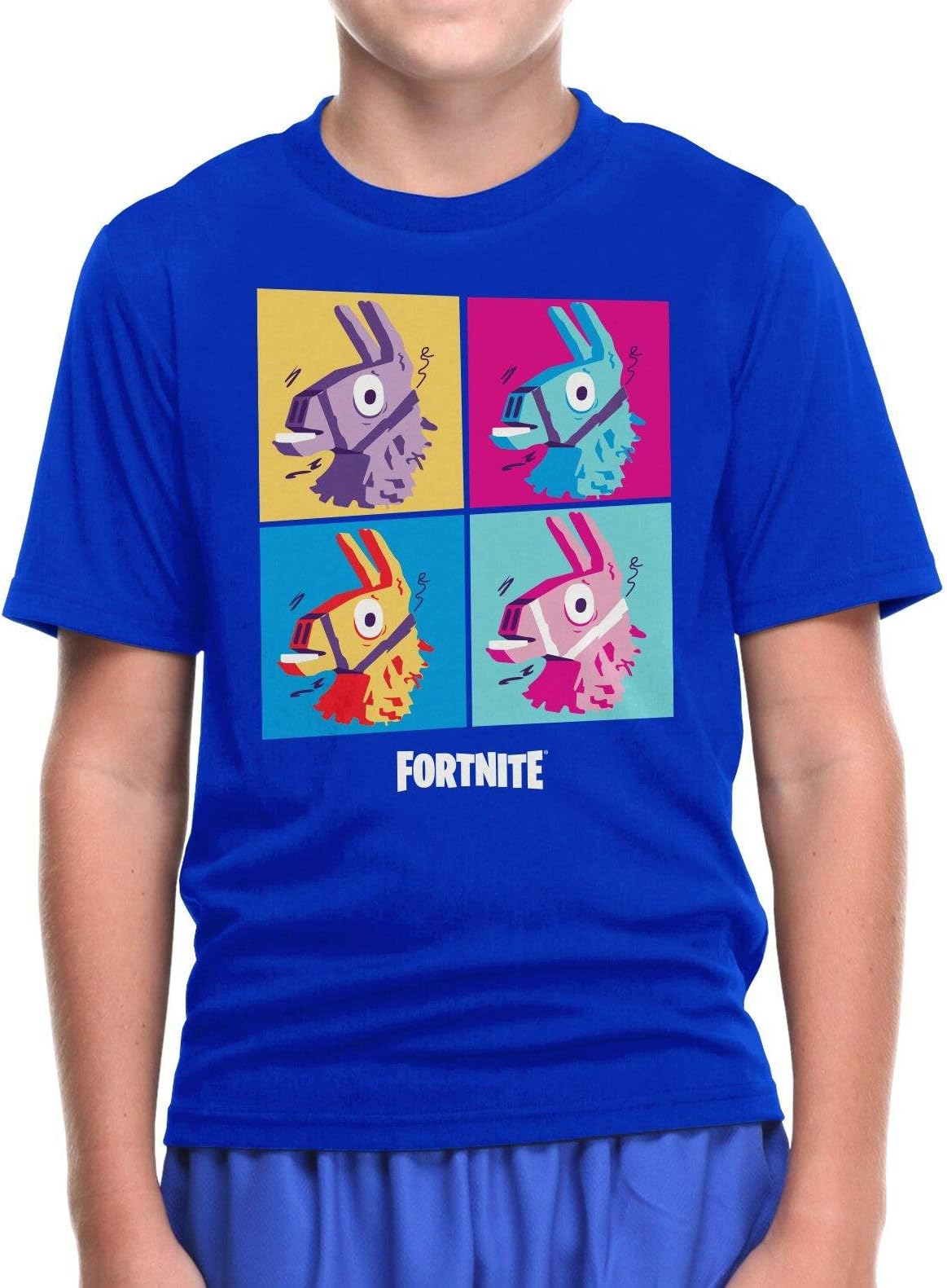 Epic Games Fortnite Llama Loot Grid Boy's Youth T-Shirt, Royal Blue