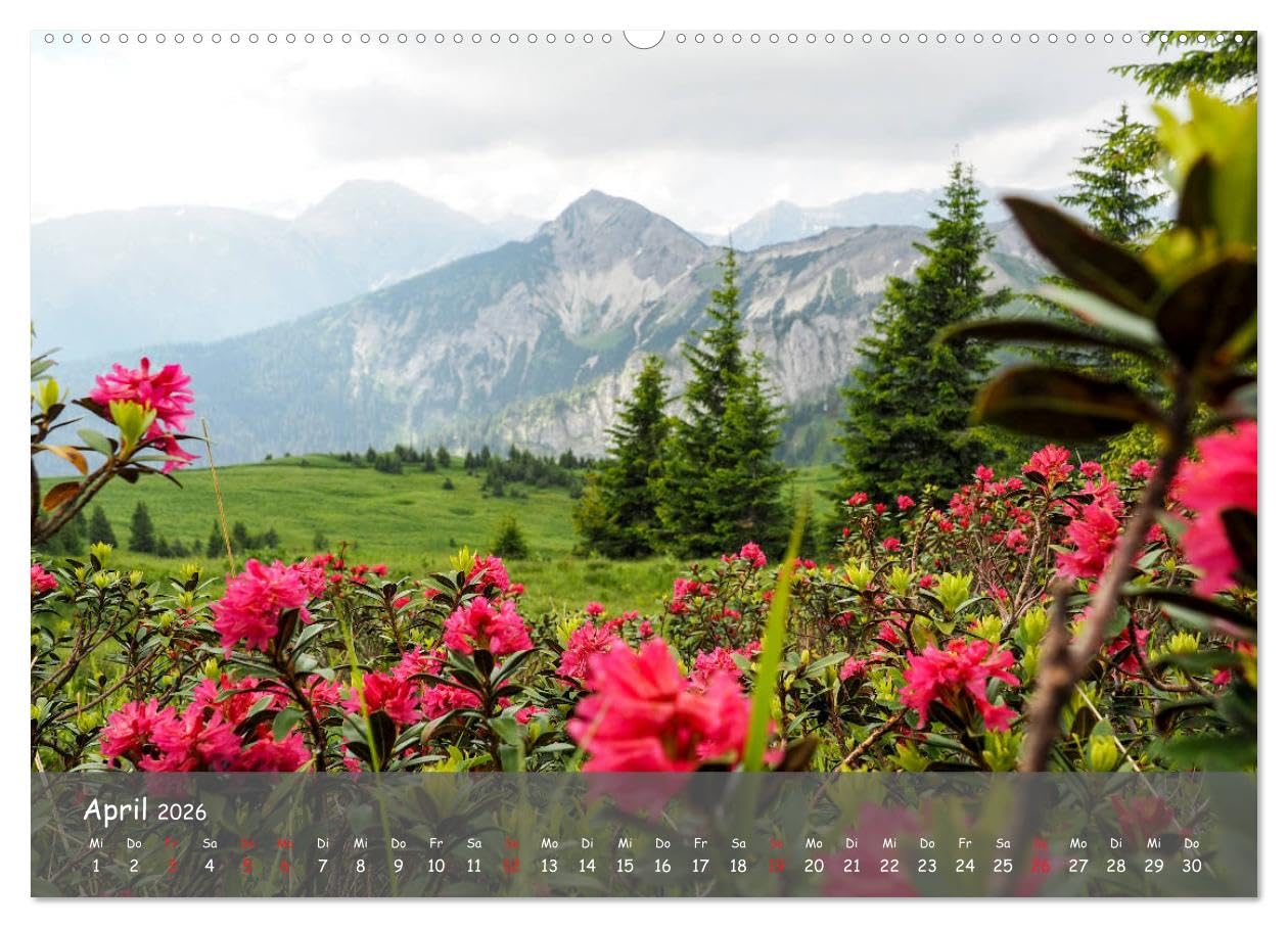 Ammergauer Alpen (hochwertiger Premium Wandkalender 2026 DIN A2 quer), Kunstdruck in Hochglanz: Einblick in den Naturpark Ammergauer Alpen Wandkalender (CALVENDO Orte)